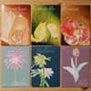 botanical cards
